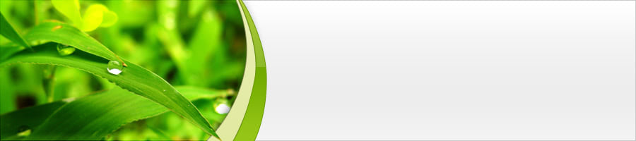 �J���g����s�i���֋���j�����͂Ŏ������I������������B